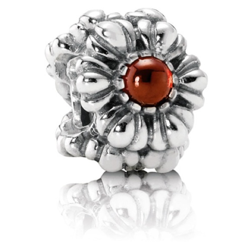 Pandora January Birthday Blooms Charm